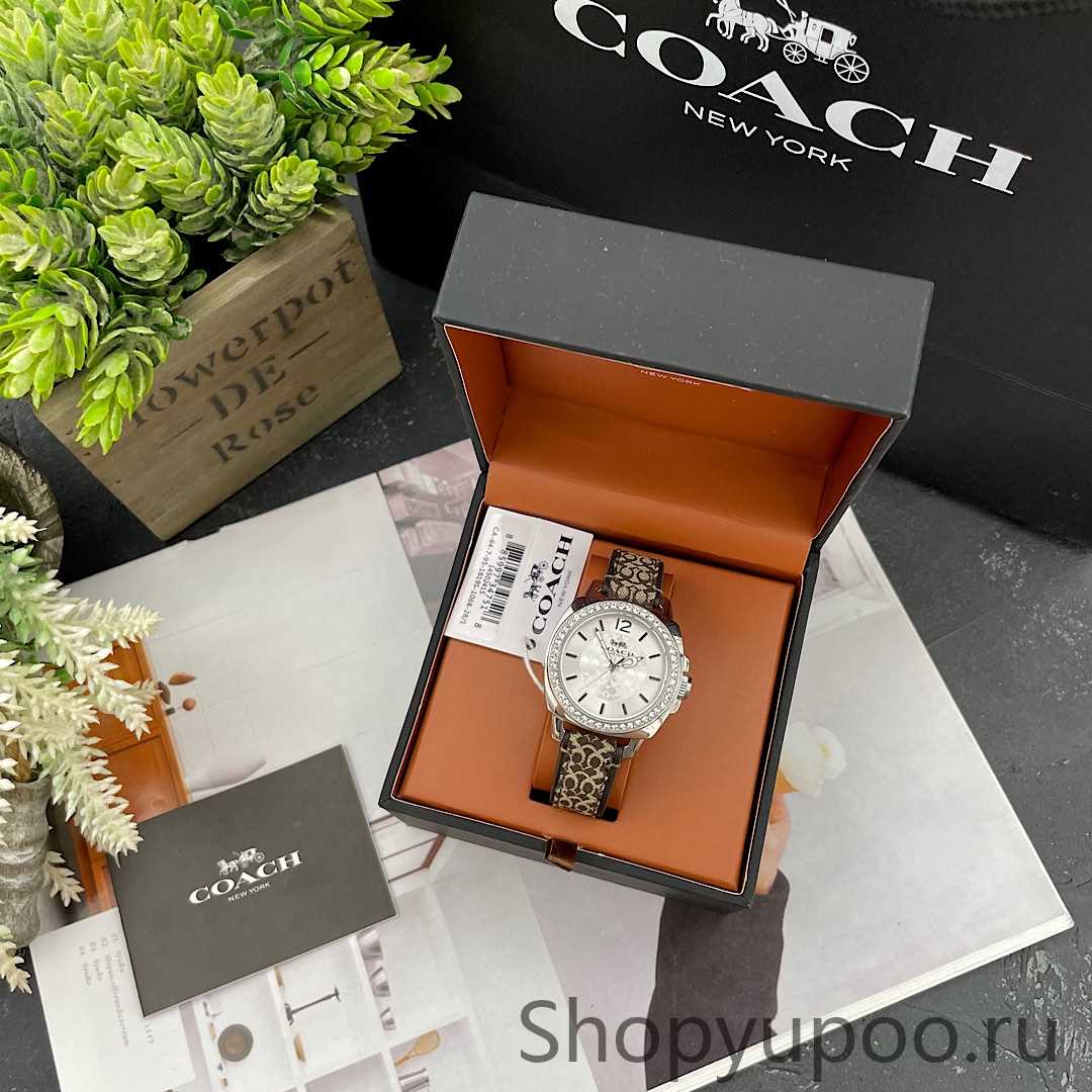 AAA+ Coach Watch Cowhide Strap 1 i1685773394 8208 0